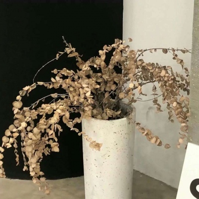 广陵FurryQQ群介绍